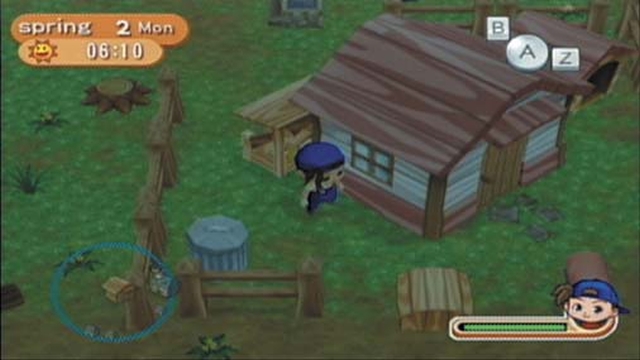 Harvest Moon: Magical Melody (Wii) image