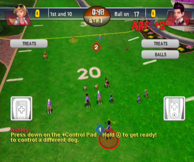 Jerry Rice & Nitus' Dog Football (Wii) image