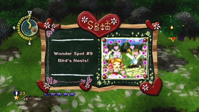Little King's Story (Wii) image