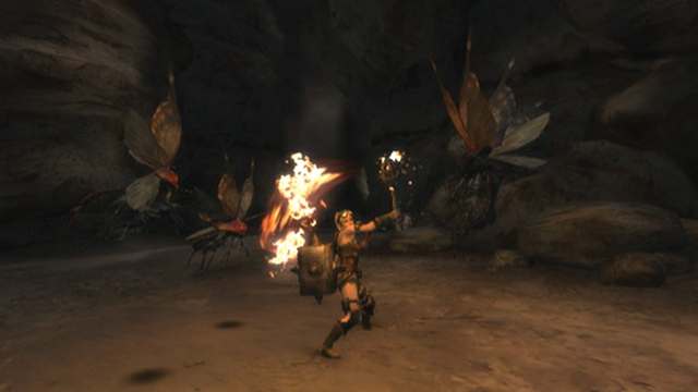 Monster Hunter Tri (Wii) image