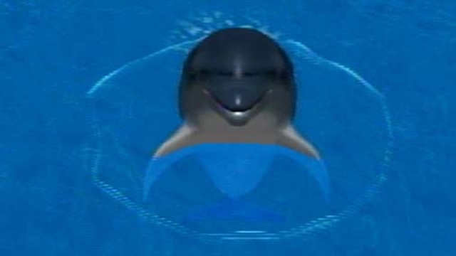 My Dolphin (Wii) image