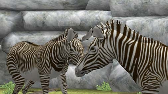 My Zoo (Wii) image
