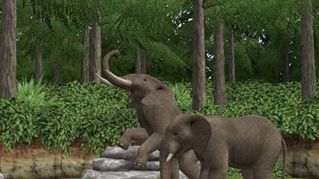 My Zoo (Wii) image