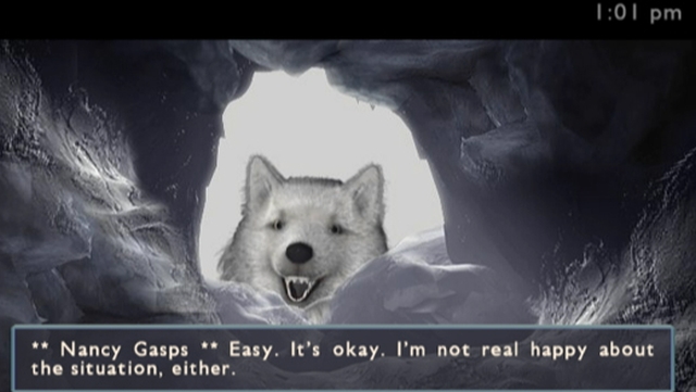 Nancy Drew: The White Wolf of Icicle Creek (Wii) image
