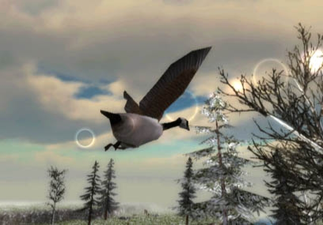 North American Hunting Extravaganza (Wii) image