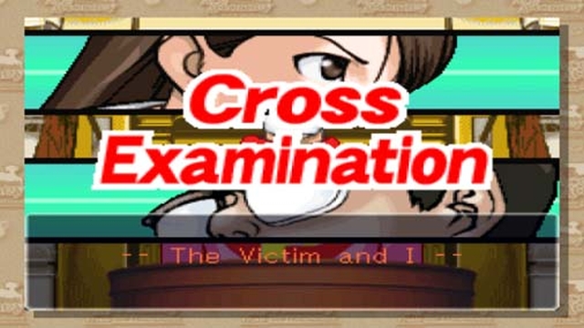 Phoenix Wright: Ace Attorney - Trials and Tribulations (Wii) image