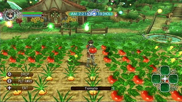 Rune Factory: Frontier (Wii) image