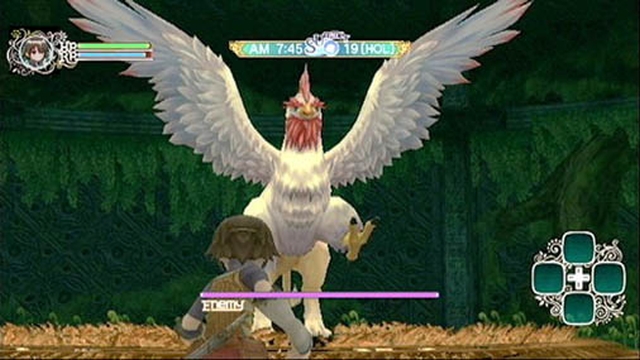 Rune Factory: Frontier (Wii) image