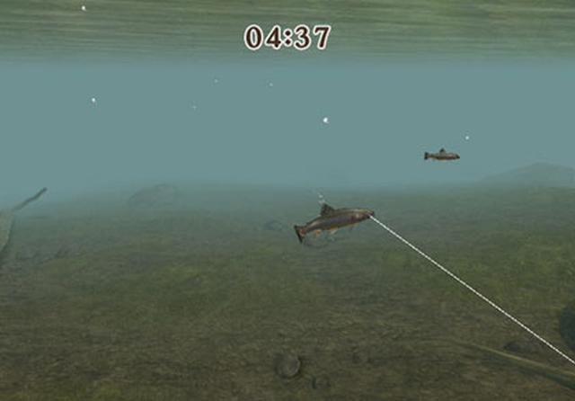 Reel Fishing Challenge II (Wii) image