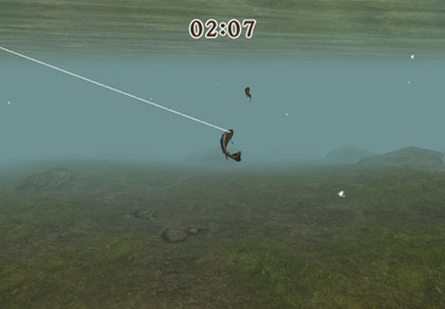 Reel Fishing Challenge II (Wii) image