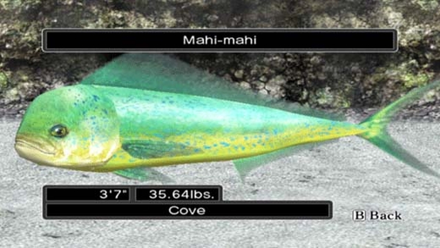 Reel Fishing: Ocean Challenge (Wii) image