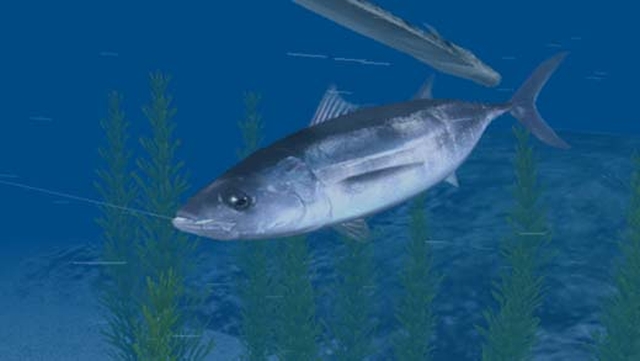 Reel Fishing: Ocean Challenge (Wii) image