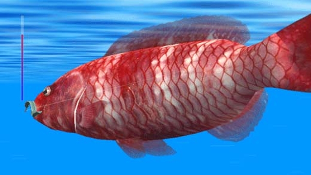 Reel Fishing: Ocean Challenge (Wii) image