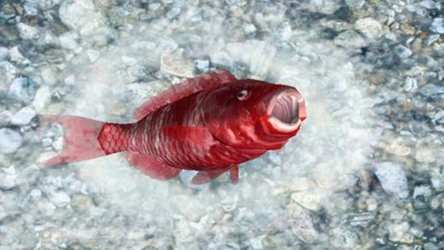 Reel Fishing: Ocean Challenge (Wii) image