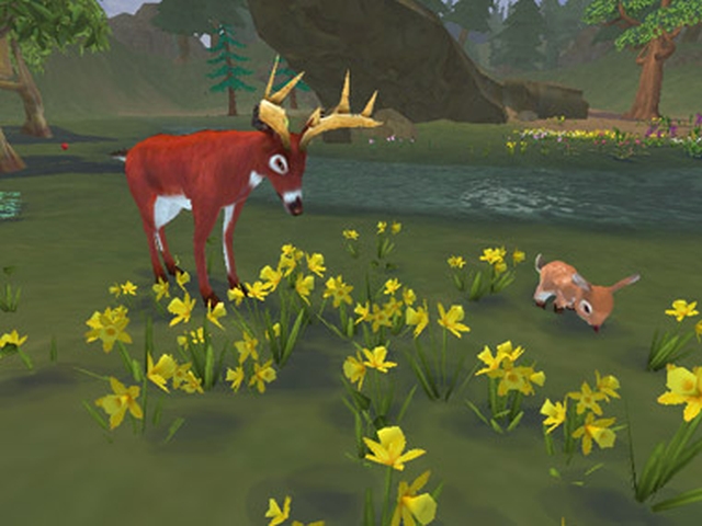 SimAnimals (Wii) image