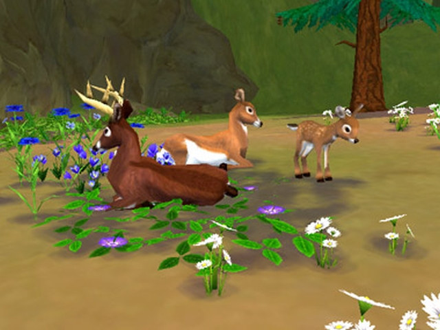 SimAnimals (Wii) image