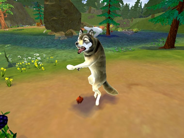 SimAnimals (Wii) image
