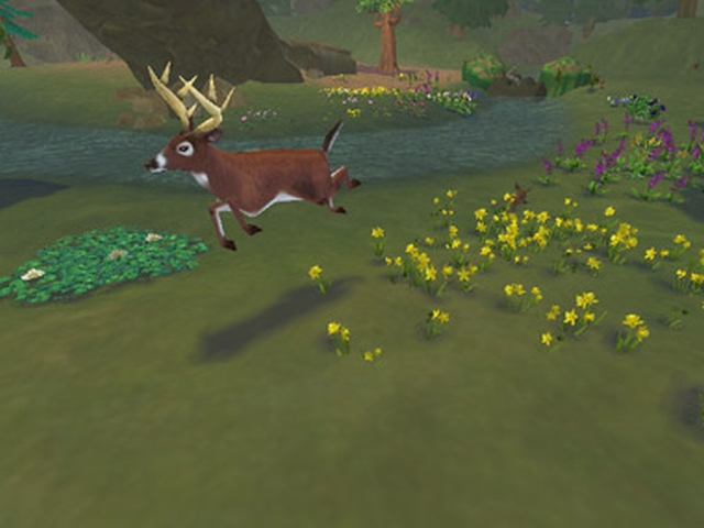 SimAnimals (Wii) image