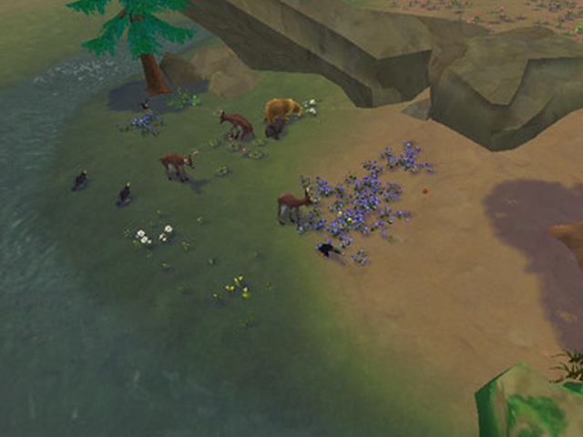 SimAnimals (Wii) image