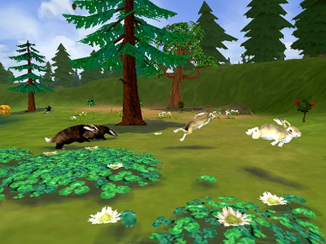SimAnimals (Wii) image