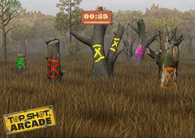 Top Shot: Arcade (Wii) image