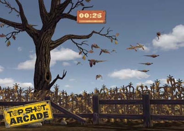 Top Shot: Arcade (Wii) image