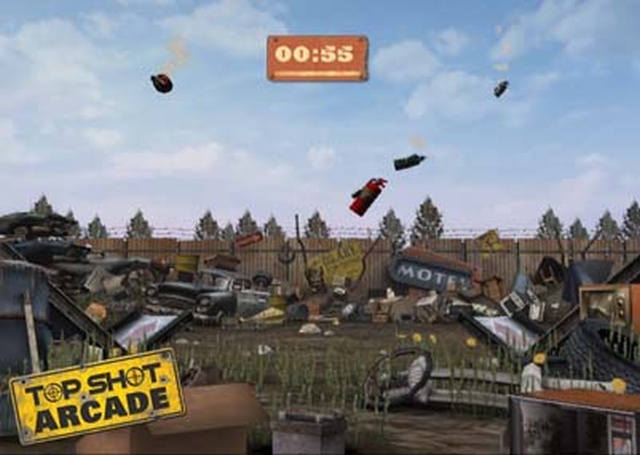 Top Shot: Arcade (Wii) image