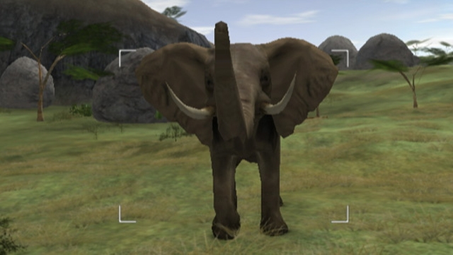 Wild Earth: African Safari (Wii) image