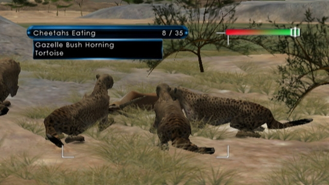 Wild Earth: African Safari (Wii) image