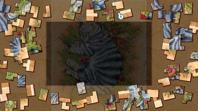 Xmas Puzzle (Wii) image