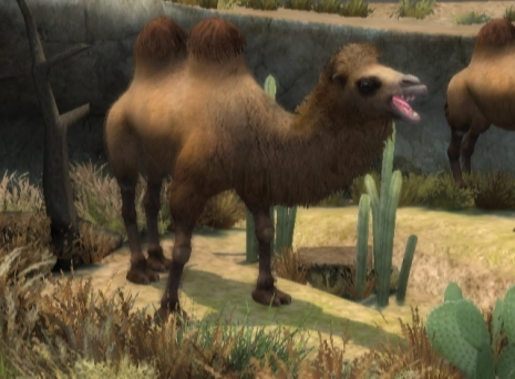 Zoo Hospital (Wii) image