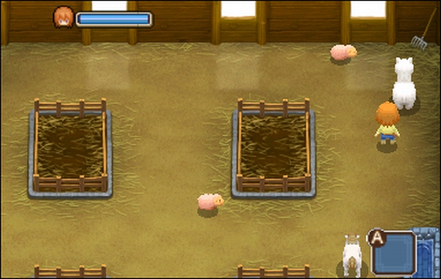 Harvest Moon 3D: The Tale of Two Towns (3DS) image