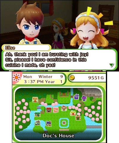 Harvest Moon: Skytree Village (3DS) image