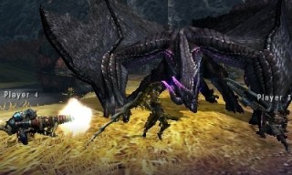 Monster Hunter 4 Ultimate (3DS) image