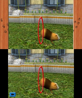 Me & My Pets 3D (3DS) image