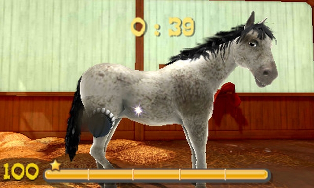 My Riding Stables 3D: Jumping for the Team (3DS) image