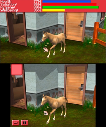 My Vet Practice 3D: In the Country (3DS) image