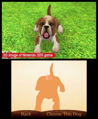 Nintendogs + Cats: Golden Retriever & New Friends (3DS) image