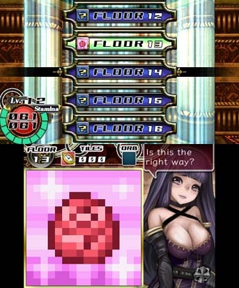 Picdun 2: Witch's Curse (3DS) image