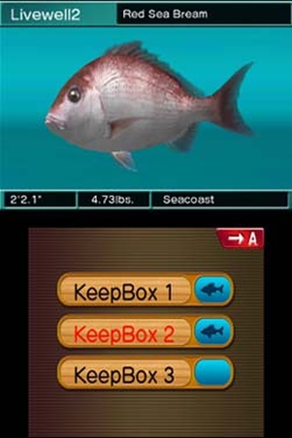 Reel Fishing Paradise 3D (3DS) image
