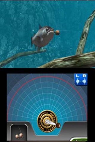 Reel Fishing Paradise 3D (3DS) image