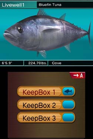 Reel Fishing Paradise 3D (3DS) image