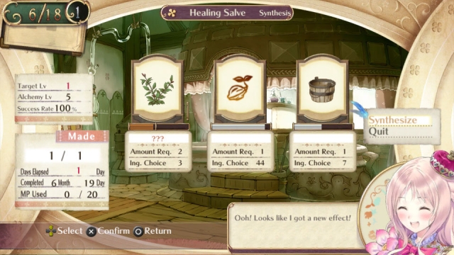 Atelier Meruru Plus: The Apprentice of Arland (Vita) image
