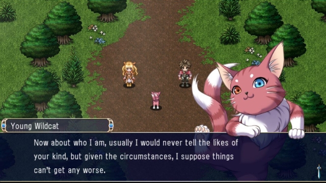 Asdivine Hearts (Vita) image