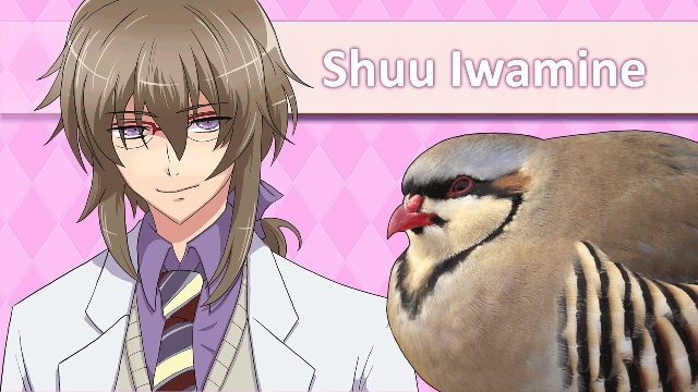 Hatoful Boyfriend (Vita) image