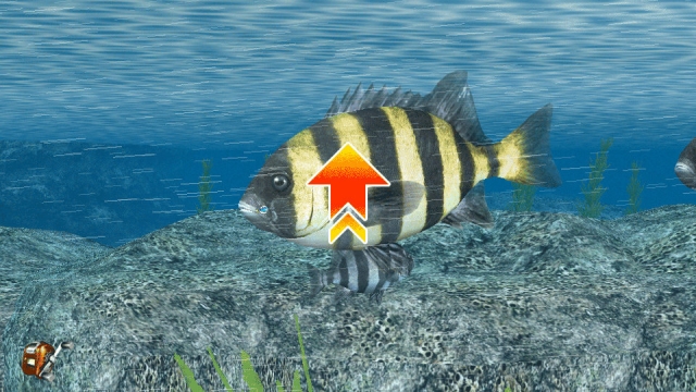 Reel Fishing: Master's Challenge (Vita) image