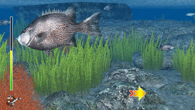 Reel Fishing: Master's Challenge (Vita) image