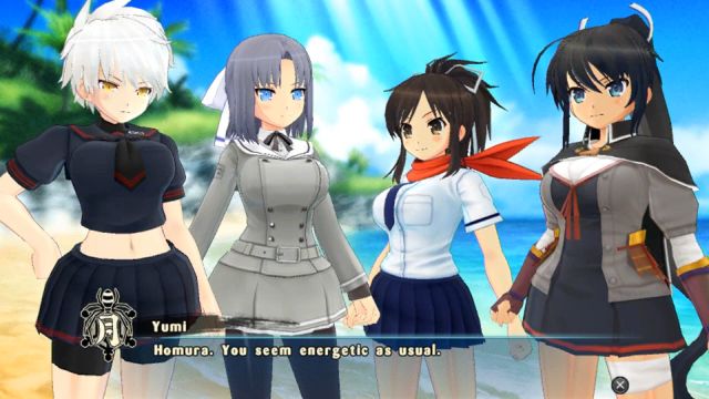 Senran Kagura: Estival Versus (Vita) image