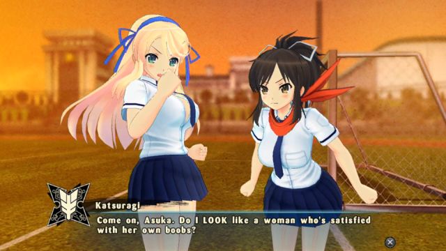Senran Kagura: Estival Versus (Vita) image