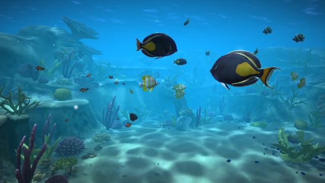 Aqua TV (Wii U) image